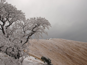 大室山の山頂 大室山の山頂