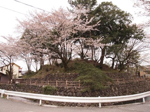 栃木城の土塁
