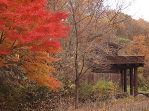 紅葉と河崎の柵