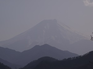 岩殿山中腹から見た富士山